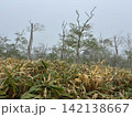 北海道標津岳ハイキング 142138667