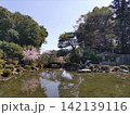 春の京都御所 142139116