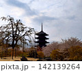 京都　東寺の五重塔 142139264