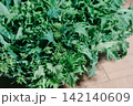 鮮やかな緑の葉が広がる新鮮なわさび菜 142140609