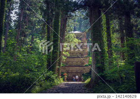 山形 羽黒神社 杉木立の中の国宝五重塔 山形 羽黒神社 杉木立の中の国宝五重塔 142140629
