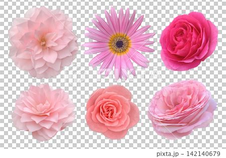 Pink flower clippings, such as roses. Pink flower clippings, such as roses. 142140679