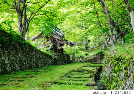 【滋賀県東近江市】百済寺　苔むす表門前と新緑の絶景 142141686