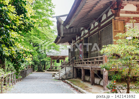 【滋賀県東近江市】百済寺　鐘楼と本堂と新緑 142141692