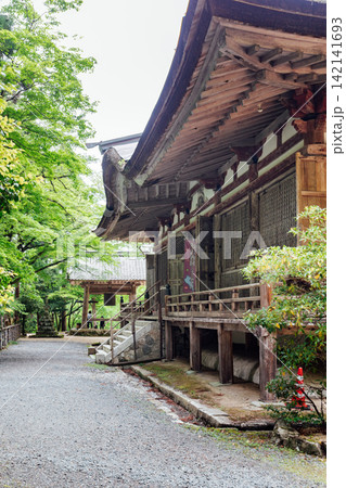 【滋賀県東近江市】百済寺 鐘楼と本堂と新緑 【滋賀県東近江市】百済寺 鐘楼と本堂と新緑 142141693