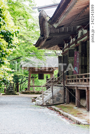 【滋賀県東近江市】百済寺 鐘楼と本堂と新緑 【滋賀県東近江市】百済寺 鐘楼と本堂と新緑 142141699