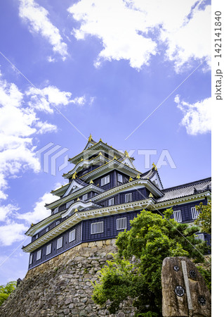 漆黒の天守閣が美しい岡山城(岡山県岡山市) 漆黒の天守閣が美しい岡山城(岡山県岡山市) 142141840