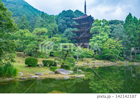 夏の瑠璃光寺五重塔(山口県) 早朝の景色 夏の瑠璃光寺五重塔(山口県) 早朝の景色 142142187