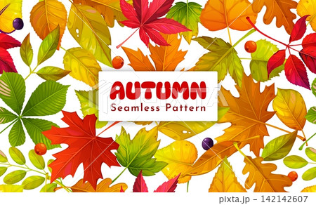 Autumn fall season leaves seamless pattern background with chestnut, maple and oak tree leaf. Autumn leaves pattern background with seasonal fall foliage of walnut or acorn bright leaves and berries Autumn fall season leaves seamless pattern background with chestnut, maple and oak tree leaf. Autumn leaves pattern background with seasonal fall foliage of walnut or acorn bright leaves and berries 142142607