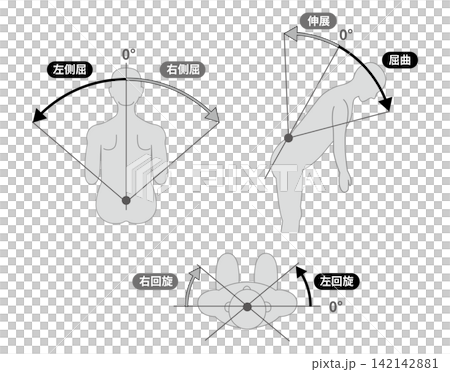 黑白版:胸部、腰部和軀幹的活動範圍 - ROM 插圖集 黑白版:胸部、腰部和軀幹的活動範圍 - ROM 插圖集 142142881