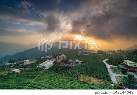 Sunset over tea plantations and mountain village in Alishan, Taiwan 142144042