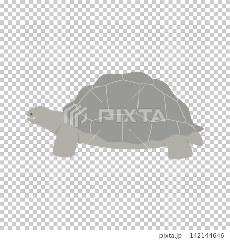 横向きのアルダブラゾウガメのシンプルなベクターイラスト 142144646