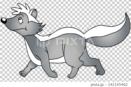Fun animal illustration ☆ Skunk Fun animal illustration ☆ Skunk 142145402