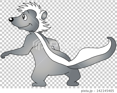 Fun animal illustration ☆ Skunk 142145405