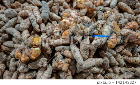 Fresh Raw Turmeric Roots Texture Background 142145827