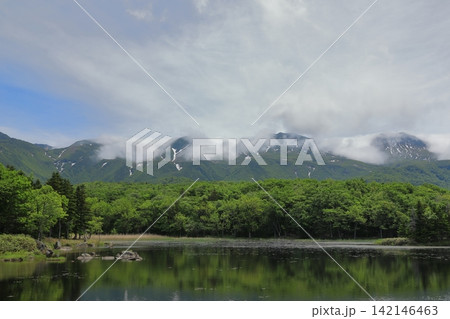 新緑の森に彩られた初夏の知床連山の風景 142146463