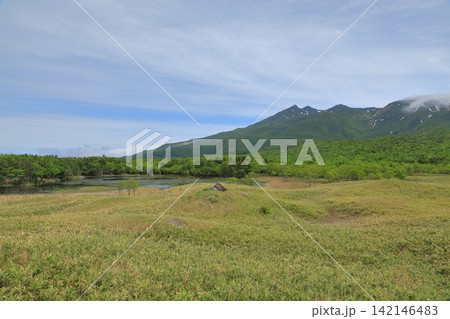 新緑の緑に彩られた初夏の知床連山の景色 142146483