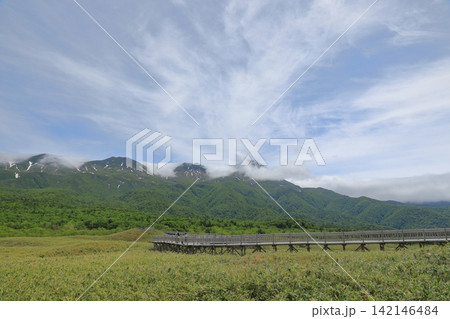 知床五湖の高架木道と初夏の知床連山の風景 142146484