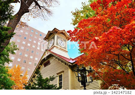 秋の札幌市時計台の風景 秋の札幌市時計台の風景 142147182