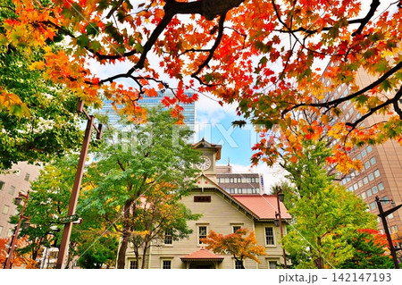 秋の札幌市時計台周辺の風景 秋の札幌市時計台周辺の風景 142147193