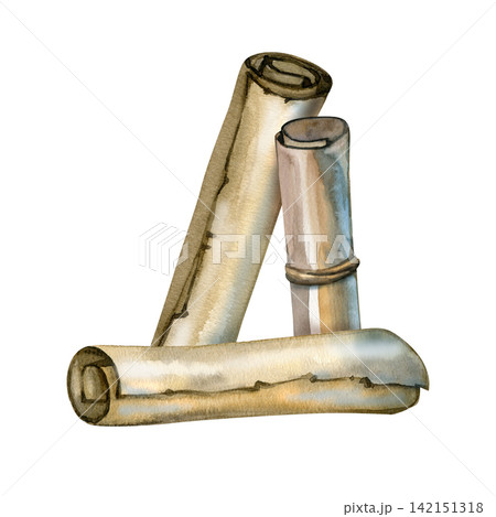 Watercolor old rolled paper scrolls antique parchment manuscripts vintage illustration Watercolor old rolled paper scrolls antique parchment manuscripts vintage illustration 142151318