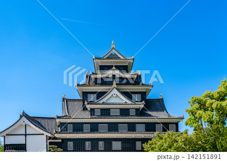 《岡山県》岡山城(国の重要文化財) 《岡山県》岡山城(国の重要文化財) 142151891