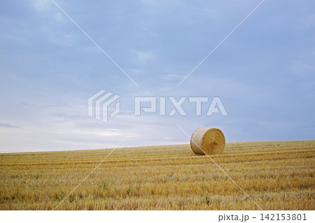 Grass, bale and stack of hay in landscape of field from harvest of straw in summer on farm with agriculture. Farming, haystack and grazing collection from sustainable growth in countryside pasture Grass, bale and stack of hay in landscape of field from harvest of straw in summer on farm with agriculture. Farming, haystack and grazing collection from sustainable growth in countryside pasture 142153801