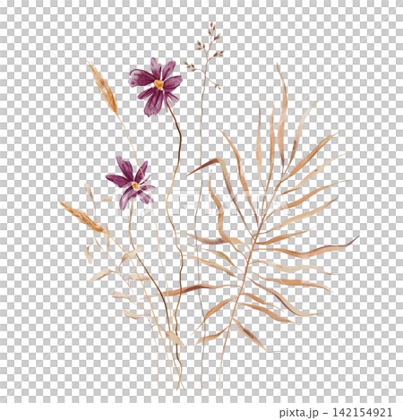 Watercolor Dried Botanical Bouquet with Purple Cosmos, Palm Leaf, Wheat and Wild Grasses on White Background. Hand painted illustration arrangement or composition. For autumn wedding greeting cards Watercolor Dried Botanical Bouquet with Purple Cosmos, Palm Leaf, Wheat and Wild Grasses on White Background. Hand painted illustration arrangement or composition. For autumn wedding greeting cards 142154921