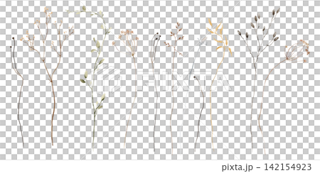 Watercolor Dried Botanical Set Hand-Painted Wild Grasses, Seed Pods and Herbarium Stems on White Background. Collection of illustrations umbellifers, branched stalks. Muted autumn colour palette. Watercolor Dried Botanical Set Hand-Painted Wild Grasses, Seed Pods and Herbarium Stems on White Background. Collection of illustrations umbellifers, branched stalks. Muted autumn colour palette. 142154923