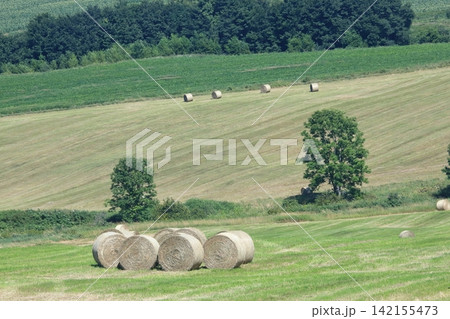 北海道の夏 丘の牧草地に並んだ牧草ロール 北海道の夏 丘の牧草地に並んだ牧草ロール 142155473