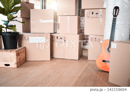 Interior, storage and box by plant in new house, apartment or property for moving, relocating or purchase a home. Shipping, real estate or mortgage for renovation with guitar in space, lounge or room 142158604