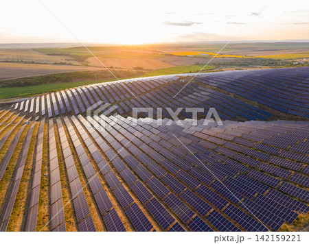 Solar panels cover fields during sunset in a rural area, showing a large solar farm with rows of panels 142159221