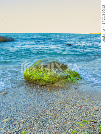 Waves crash gently on a rock covered with green moss by the shore at a beach during the day 142159512