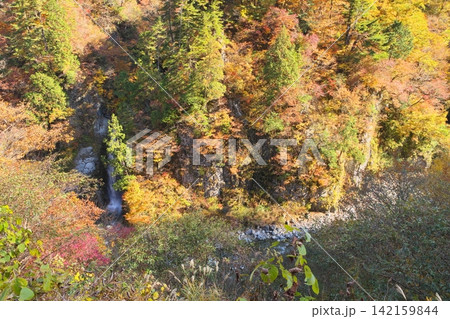 秋の白山白川郷ホワイトロード 岩底の滝と尾添川 秋の白山白川郷ホワイトロード 岩底の滝と尾添川 142159844