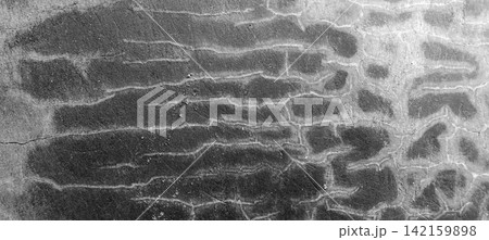 Abstract monochromatic cracked concrete texture Abstract monochromatic cracked concrete texture 142159898