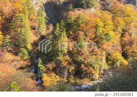 秋の白山白川郷ホワイトロード 岩底の滝と尾添川 秋の白山白川郷ホワイトロード 岩底の滝と尾添川 142160361