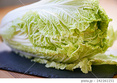 Cabbage, vegetable and closeup for edible plant, harvest and fresh leafs for food and raw produce for diet. Green, nutrition or healthy organic with vitamins for fibre in salad with antioxidant Cabbage, vegetable and closeup for edible plant, harvest and fresh leafs for food and raw produce for diet. Green, nutrition or healthy organic with vitamins for fibre in salad with antioxidant 142161151