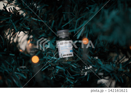 Christmas, tree and safety for health and vaccine as ornament, decoration and memory of Covid19. Healthcare, product and medicine of science, holiday and celebration in home and wellness from virus Christmas, tree and safety for health and vaccine as ornament, decoration and memory of Covid19. Healthcare, product and medicine of science, holiday and celebration in home and wellness from virus 142161621