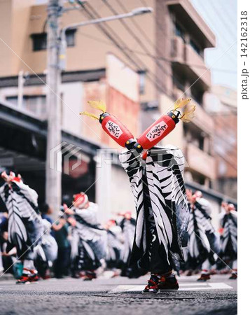 帯屋町で踊るよさこい祭り 帯屋町で踊るよさこい祭り 142162318