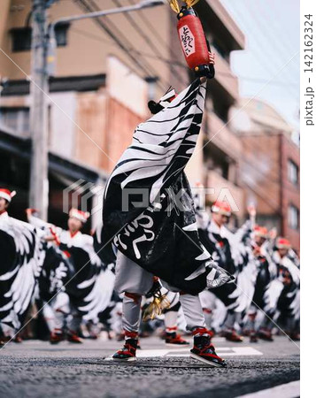 帯屋町で踊るよさこい祭り 帯屋町で踊るよさこい祭り 142162324