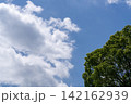 青空と白い雲と緑の木 142162939