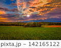 美しい夕焼け空と麦畑 美しい夕焼け空と麦畑 142165122