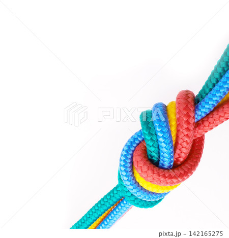 Colourful, rope and knot together in studio for tying with pride, unity and trust. Secure, rainbow and string for unique, security and stop movement of survival objects on isolated white background Colourful, rope and knot together in studio for tying with pride, unity and trust. Secure, rainbow and string for unique, security and stop movement of survival objects on isolated white background 142165275