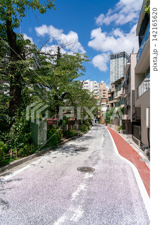 《東京都》日本の都市風景 目黒川沿いの道路を望む(令和8年8月) 《東京都》日本の都市風景 目黒川沿いの道路を望む(令和8年8月) 142165620