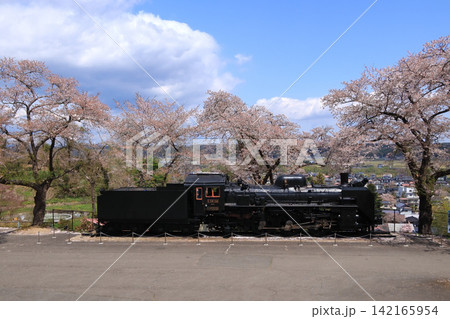 岩出山城跡城山公園の蒸気機関車と桜(宮城県大崎市) 岩出山城跡城山公園の蒸気機関車と桜(宮城県大崎市) 142165954
