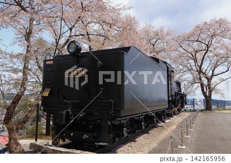 岩出山城跡城山公園の蒸気機関車と桜(宮城県大崎市) 岩出山城跡城山公園の蒸気機関車と桜(宮城県大崎市) 142165956