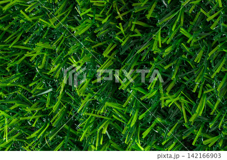 Vibrant green synthetic grass sprawls under a warm sun, inviting playful moments and leisure activities 142166903