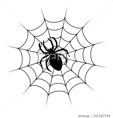 Black spider silhouette on cobweb isolated on white background 142167544