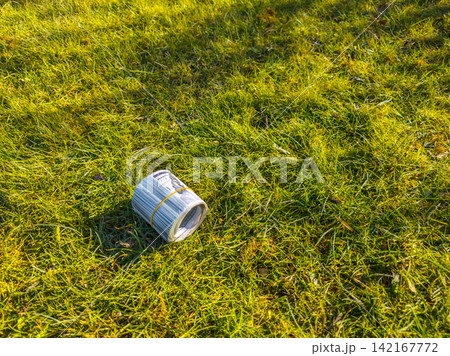 Roll of US Dollar Bills on Green Grass 142167772