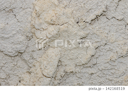 Rough, cracked light gray clay and dried earth texture 142168519